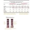 BpcNAC STABLE-BPC-157 + NAC 30kaps/250mcg - obrazek 2