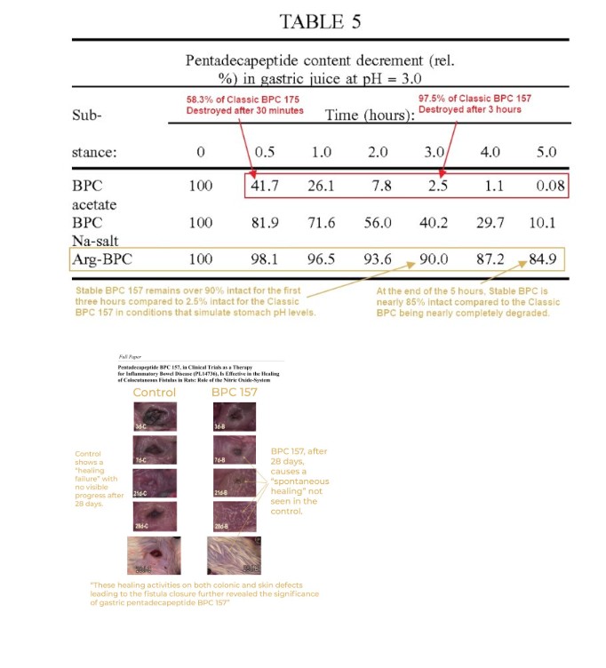 BpcNAC STABLE-BPC-157 + NAC 30kaps/250mcg - obrazek 2