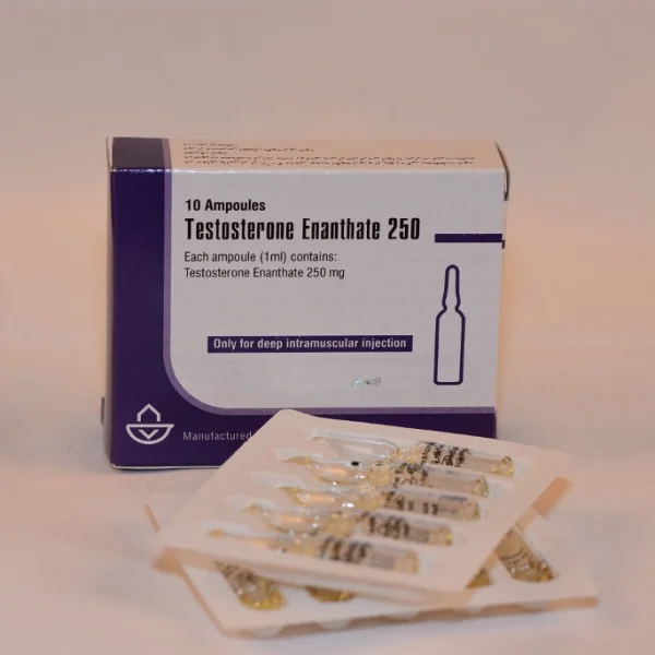Testosterone Enanthate 250mg 10x1ml IRAN - obrazek 2